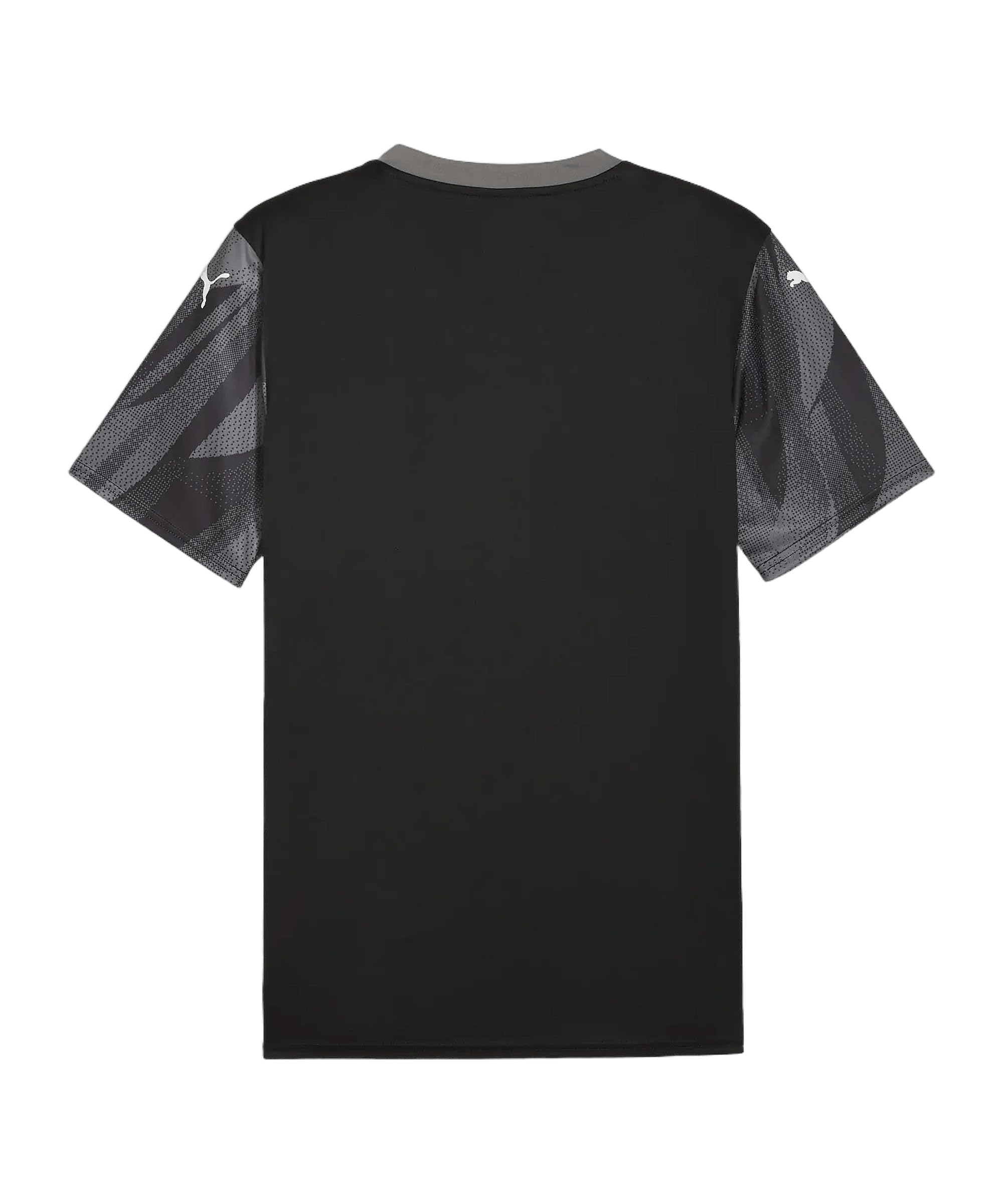 PUMA Teamfinal Graphic+ Jersey Maglie Uomo (Pacco da 1)
