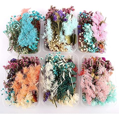 Keebgyy Dried Flower Dry Plants for Aromatherapy Candle Epoxy Resin Pendant Necklace Jewelry Making Craft DIY Accessories Cover