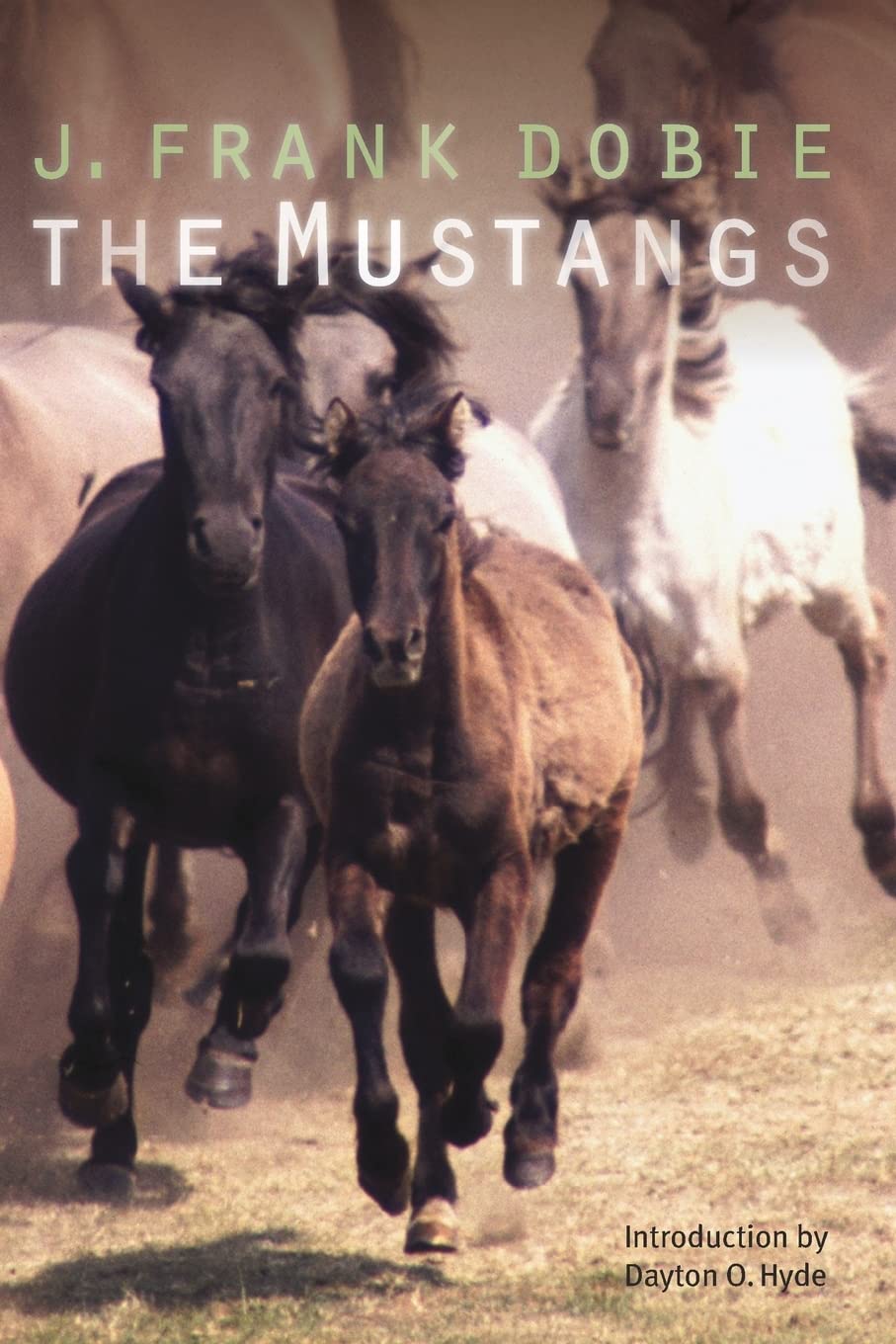 The Mustangs Paperback – Illustrated, 1 April 2005