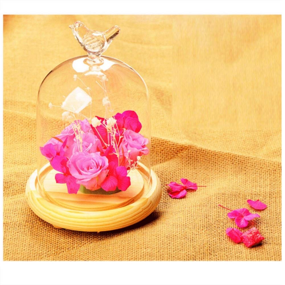 Forart Clear Glass Cloche Bell Jar Display Case with Bird Handle Wooden