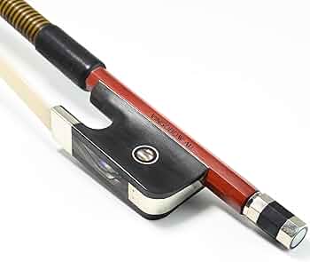 61p-uOwhWlL._AC_UF350,