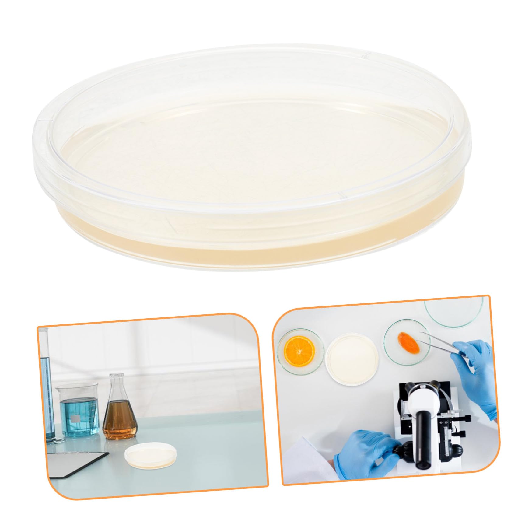 CHILDWEET Piastre di Petri in Plastica Sterile Rotonde 20 Pezzi 9cm in Agar Nutriente Precoltivate per Esperimenti Scientifici e Coltura Cellulare in Laboratorio