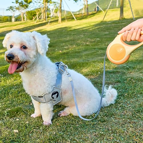 Einziehbare Hundeleine Mit Licht - 3m/5m Ausziehbare Leine für Kleine, Mittelgroße und Große Hunde Bis 30 kg