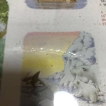 Amazon.co.jp: リトルポーラーベア しろくまくん ジグソーパズル 1000 Amazon.co.jp: リトルポーラーベア しろくまくん ジグソーパズル 1000