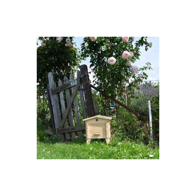Ruche Classique 37 cm en Bois 5 Cadres