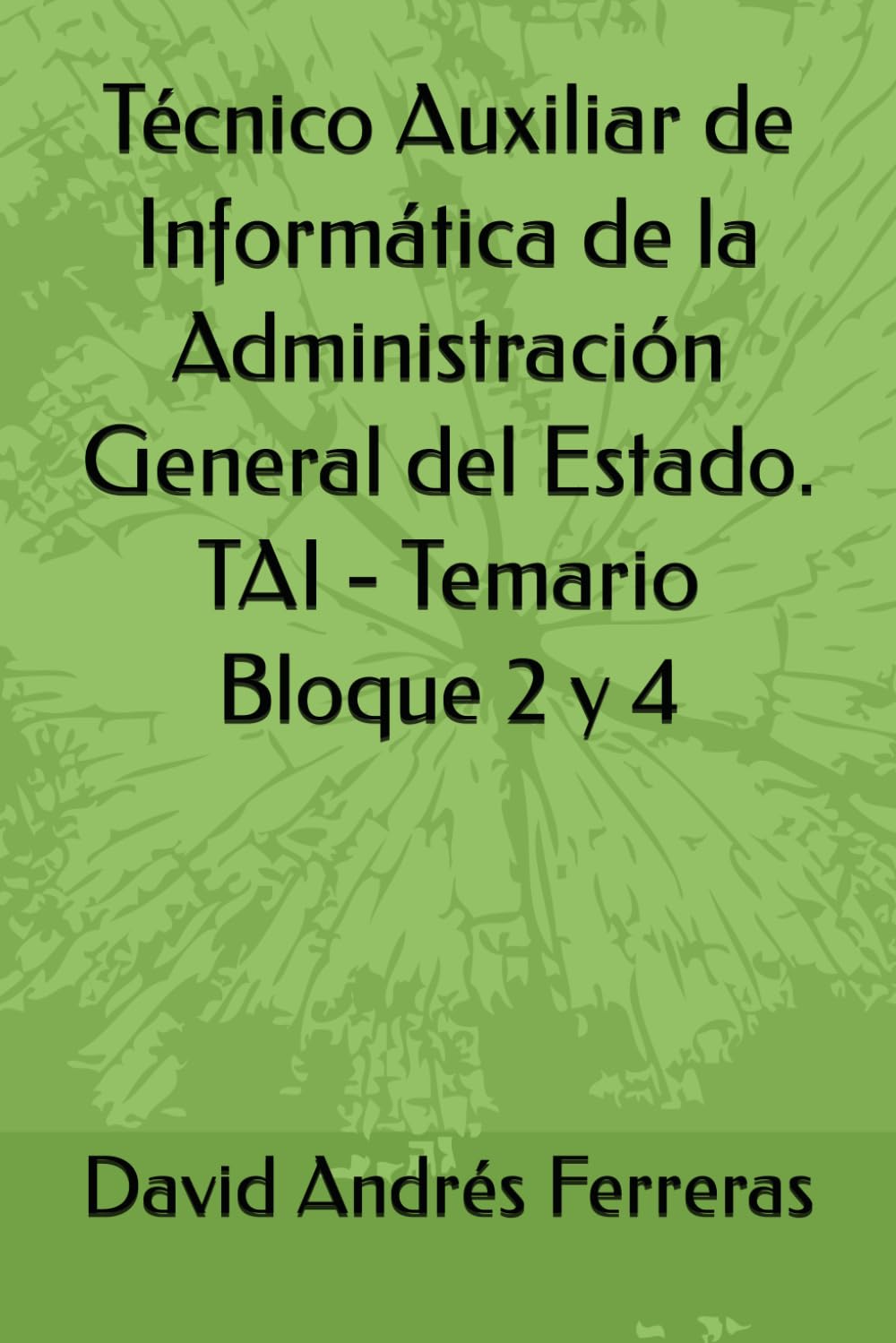 Técnico Auxiliar de Informática de la Administración General del Estado. TAI - Temario Bloque 2 y 4