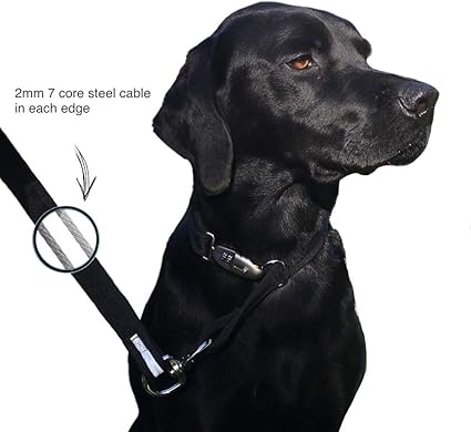 Anti theft dog lead attachment Clearance