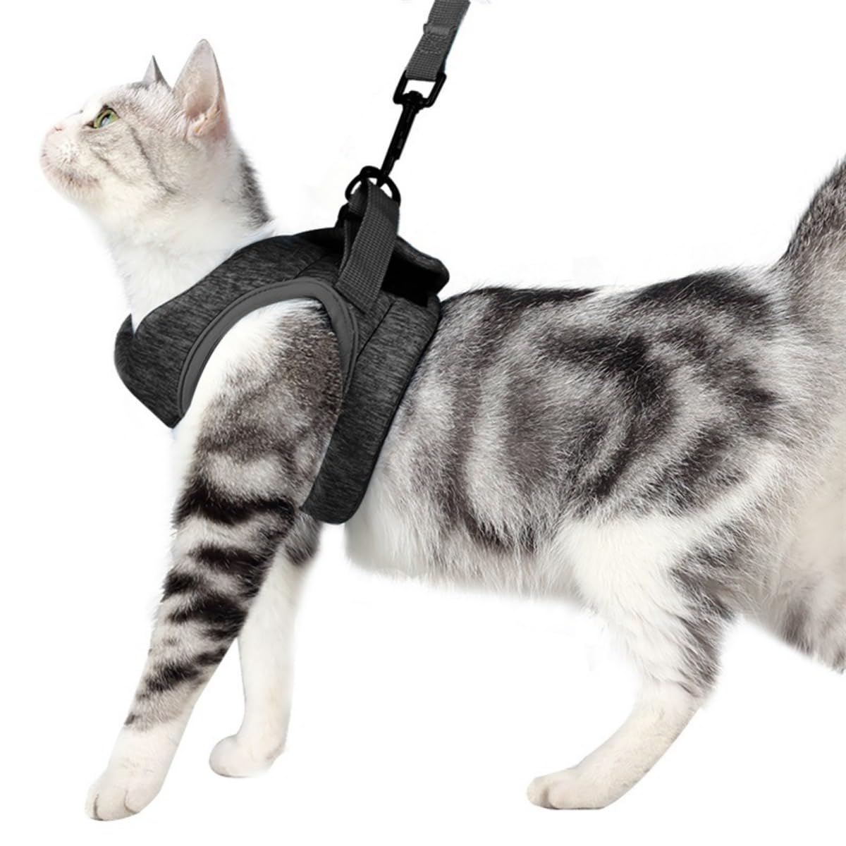 猫用ハーネス 胴輪 安全首輪 猫リード ペット用ベーシック首輪 歩行補助 Amazon.co.jp: 猫用ハーネス 胴輪 安全首輪 猫リード ペット用