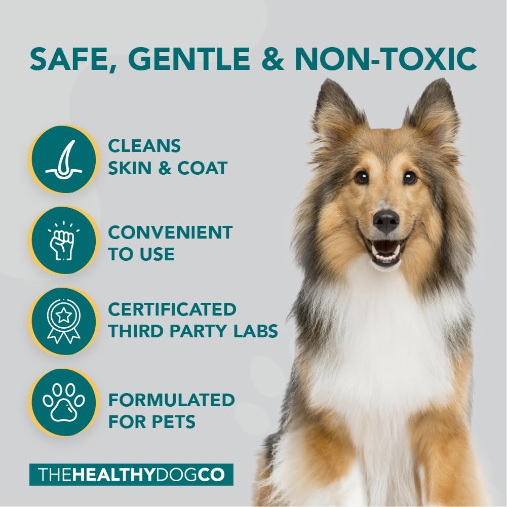 The Healthy Dog Co - 6-in-1 All-Natural Dog Shampoo and Conditioner for Smelly and Itchy Skin Dogs - Sensitive Oatmeal Puppy Shampoo - Made with Natural and Organic Ingredients - 500ml 3 61p0KobAwDL. AC SL1001