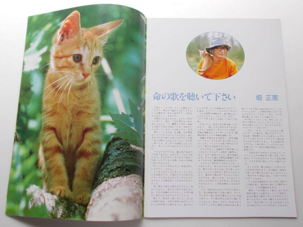 Amazon.co.jp: 映画パンフレット 子猫物語／畑正憲 市川崑 谷川俊太郎