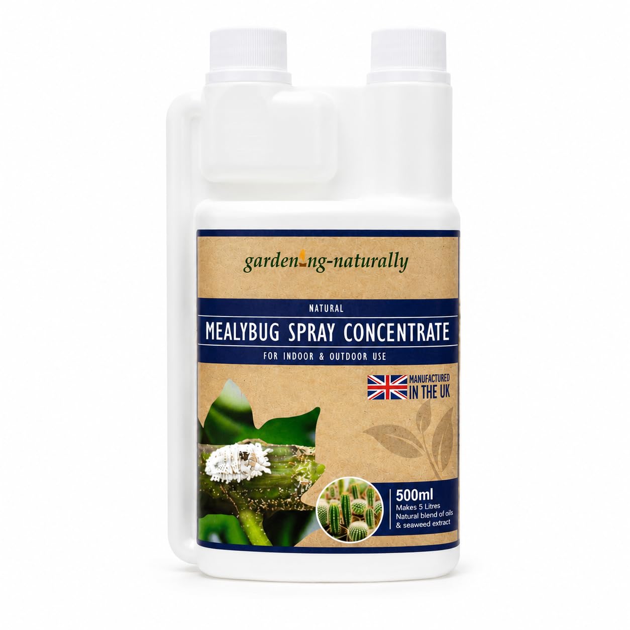 Mealybug Spray for Indoor & Outdoor Plants with Seaweed Extract – Ready to Use Plant Spray or Concentrate for Houseplants, Cacti & Succulents – UK Made (500ml Spray Concentrate)
