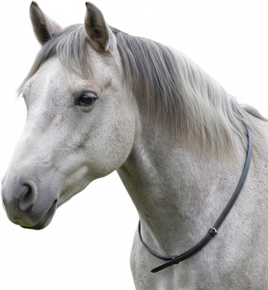 Leather Neck Grab Strap – Horse Riding Balance Aid for Pony, Cob & Full Size