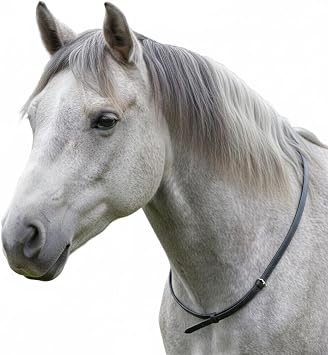 Leather Neck Grab Strap Horse Riding Balance Aid for Pony, Cob & Full Size
