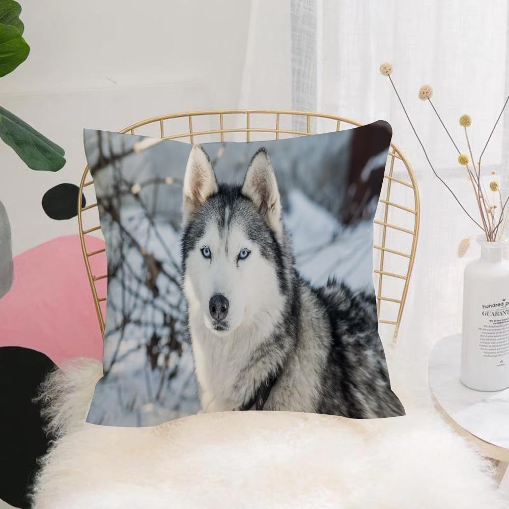Hyosxw Siberian Husky With Blue Eyes In The Snow - A10 Cushion Cover,Throw Pillow Case Home Decorative For Living Room Bedroom Sofa Chair 18X18 Inch,Siberian Husky With Blue Eyes In The Snow,Pillowcase 45X45cm