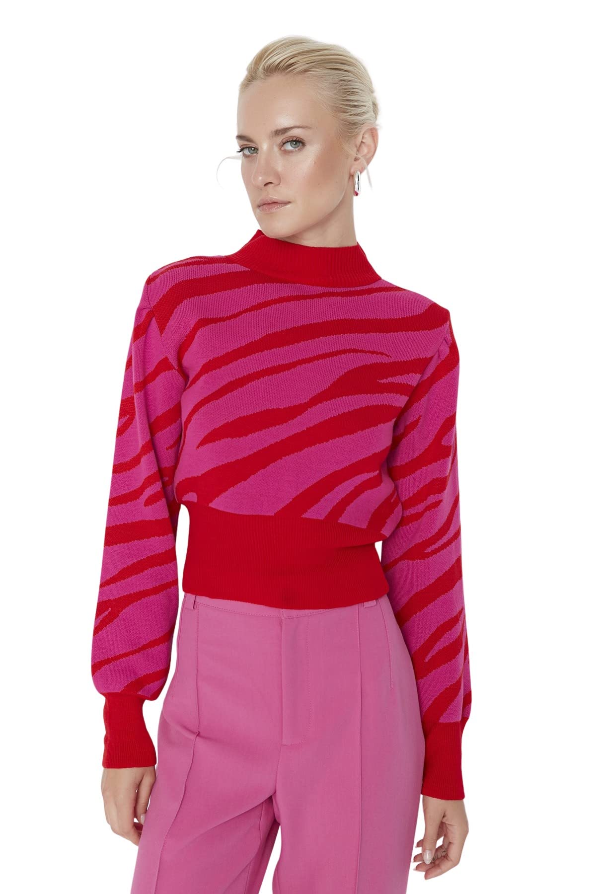 Trendyol Women Regular fit Basic Standing Collar Knitwear Sweater