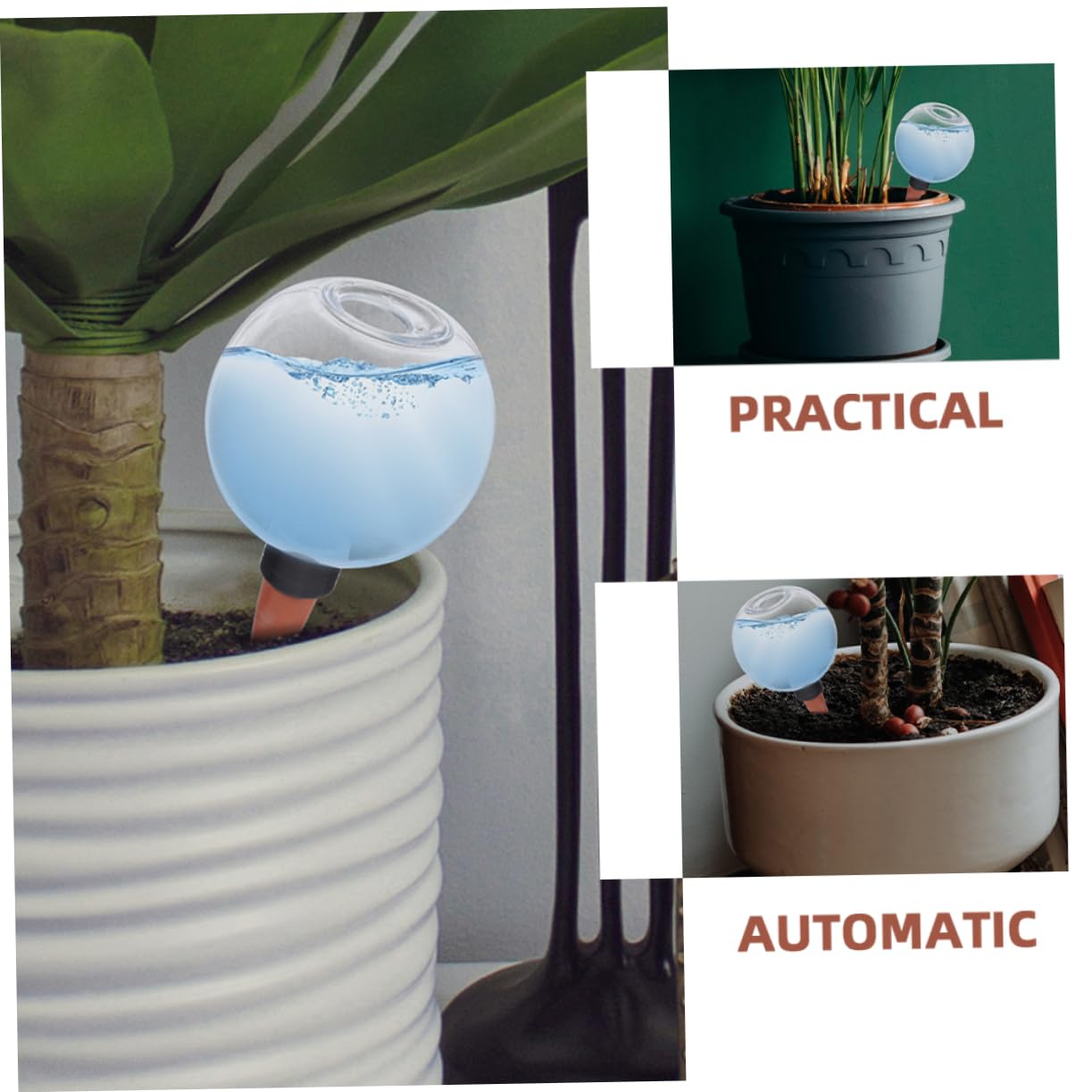 POPETPOP 6 Pièces Dispositif d'arrosage Automatique dispositifs d'auto-arrosage des Plantes Globes d'arrosage pour Plantes d'extérieur arrosage à Globe d'arrosage Globe d'eau