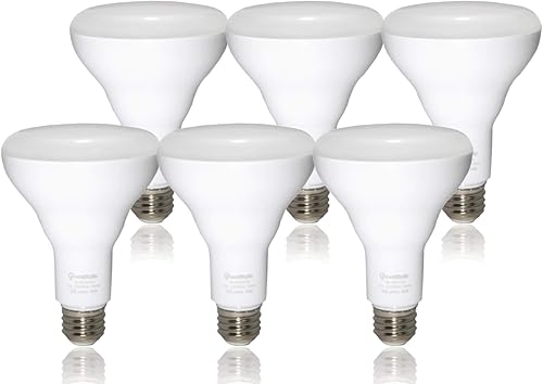 GoodBulb Bombillas LED BR30 de 12 W (equivalente a 60 vatios) Base E26  Color blanco luz diurna 5000K  EcoSmart  800 lúmenes  Paquete de 6 bombillas