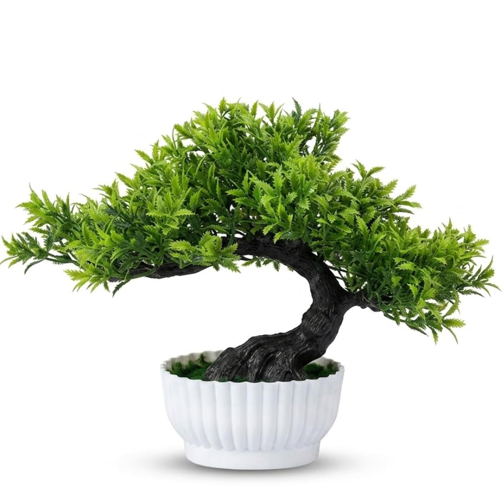 Artificial Bonsai Plant for Home Decor in White Pot | Decorative Fake Plant for Living Room, Office Desk & Bedroom | Aesthetic Indoor Tabletop Decoration Item (Round Topiary Plant -1)-image-33