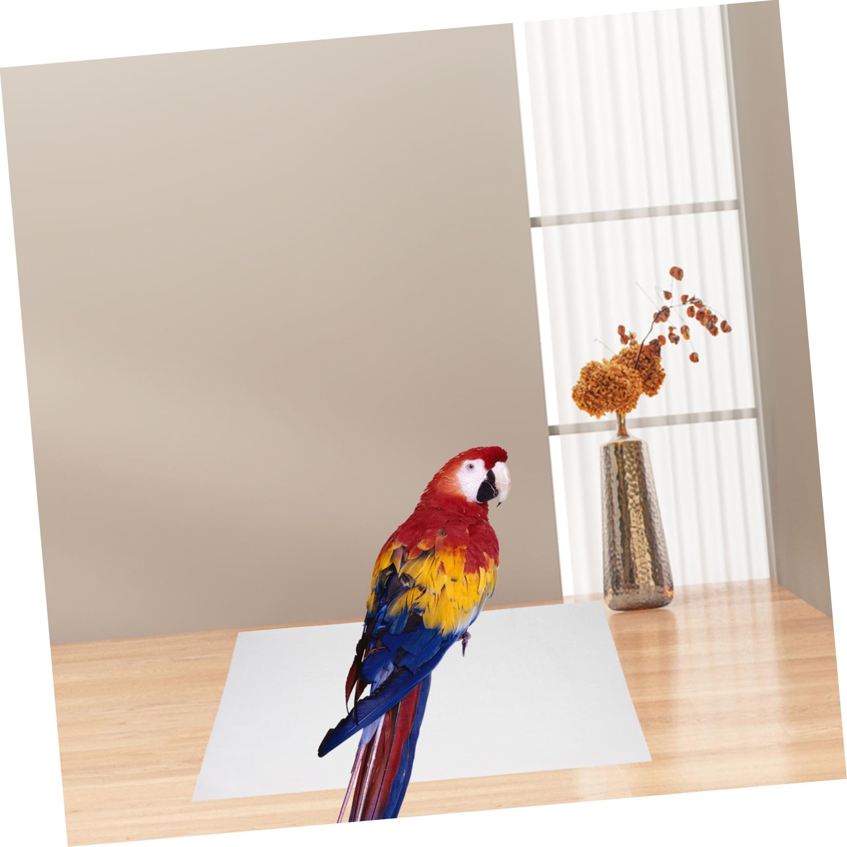 100 Stück Papageienkäfig-einlagepapier Saugfähige Unterlage Für Vogelkäfig Papageienkäfig-bodenkissen Vogelkäfig-zubehör Haustierunterlage Papierstaub Vogelbedarf
