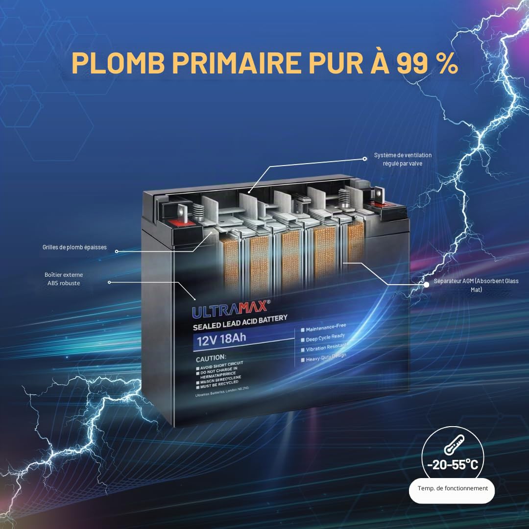 Pigeon aimant – Ultramax Batterie 12 V 18 Ah re-chargable