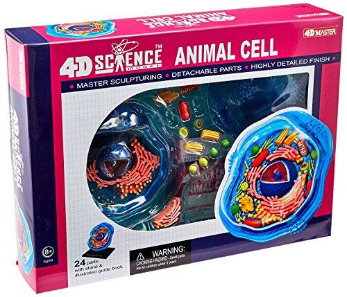 Image of Famemaster 4D-Science Animal Cell Anatomy Model Coral, Black, Mint Green, Beige, Gold, Rose Gold