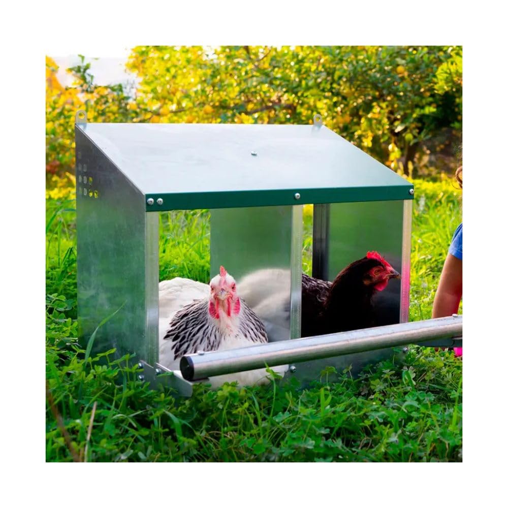 Ponedero para gallinas FÉNIX 2 Departamentos, Chapa Galvanizada, Comedero para Gallinas con Bandeja Recolectora