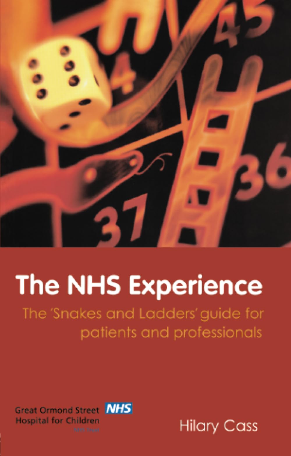 The NHS Experience: The 'Snakes and Ladders' Guide for Patients and Professionals
