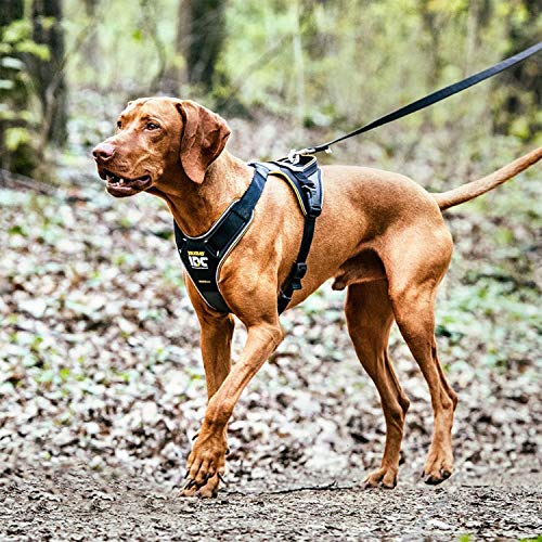 JULIUS K-9 IDC Longwalk Geschirr, Neon-Grau, Größe: M