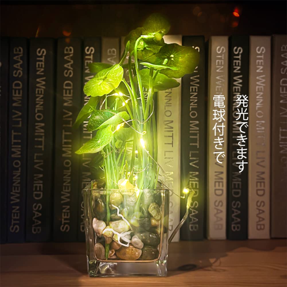 Amazon｜Aicvhin 人工観葉植物 光触媒 プレミアム LEDライト付き