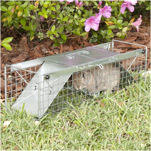 Havahart 1030 Live Animal Two-Door Rabbit, Squirrel, Skunk, and Mink Cage Trap - Thumbnail 3