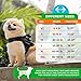 Joyride Harness 2.0 - The Original Side Ring No Pull Dog Harness - No Choke, Escape Proof, Reflective, 3 Leash Clips, Quick Fit Pet Vest - Easy Walks & Training - for Small, Medium & Large Dogs