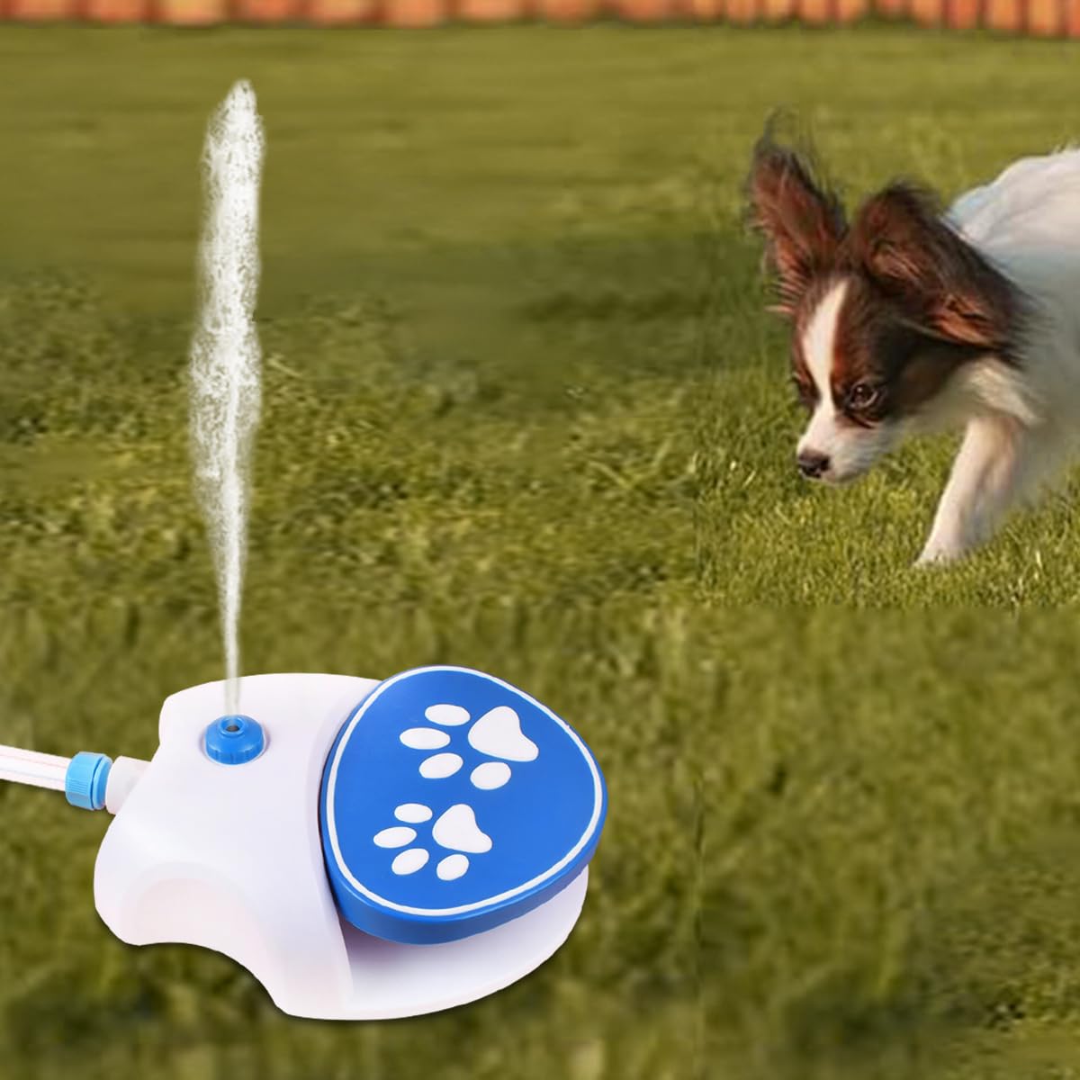 Ausi Fontanella per animali domestici da esterno – Distributore azionato dalla zampa del cane con funzione di erogazione a gradini (acqua fresca)