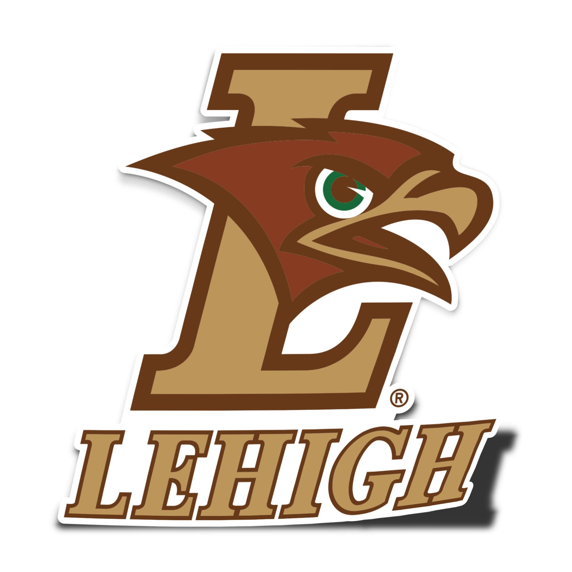 Desert Cactus Lehigh University Sticker Mountain Hawks Vinyl Decal Laptop Water Bottle Car Scrapbook (IND 00064a)