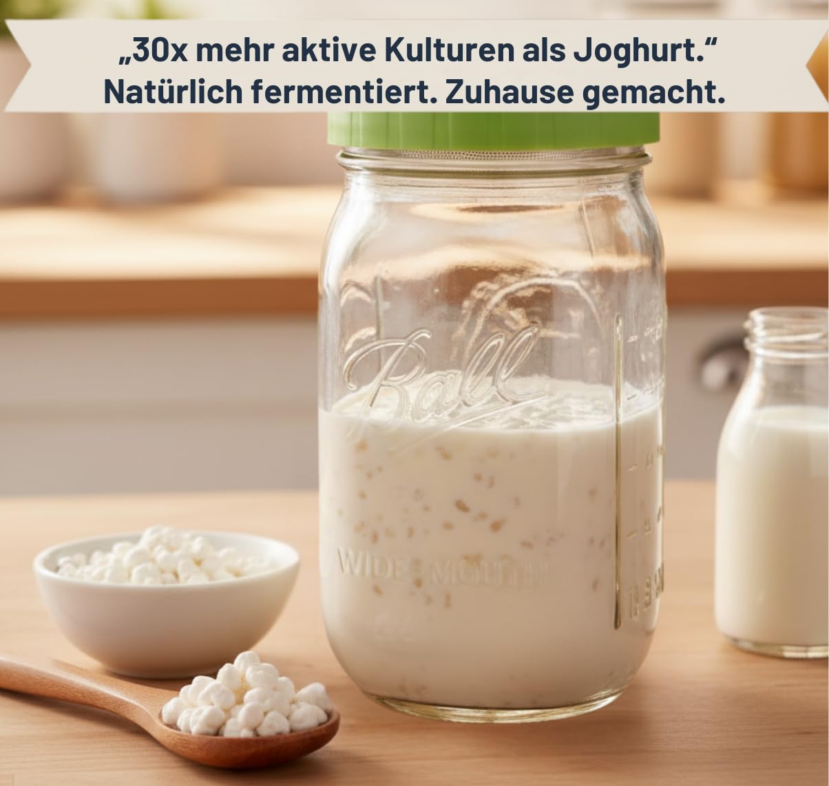 Juego de kéfir de leche orgánica, cultivo inicial, tubérculos de kéfir vivos para fermentación, fabricación sostenible de bricolaje, infinitamente reutilizable