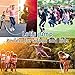 ACEONE Long Jump Rope, Multiplayer Skipping Rope with Wooden Handle for Kids and Adult, Team Group Jumping Rope for School Sport and Outdoor Activity, 16ft