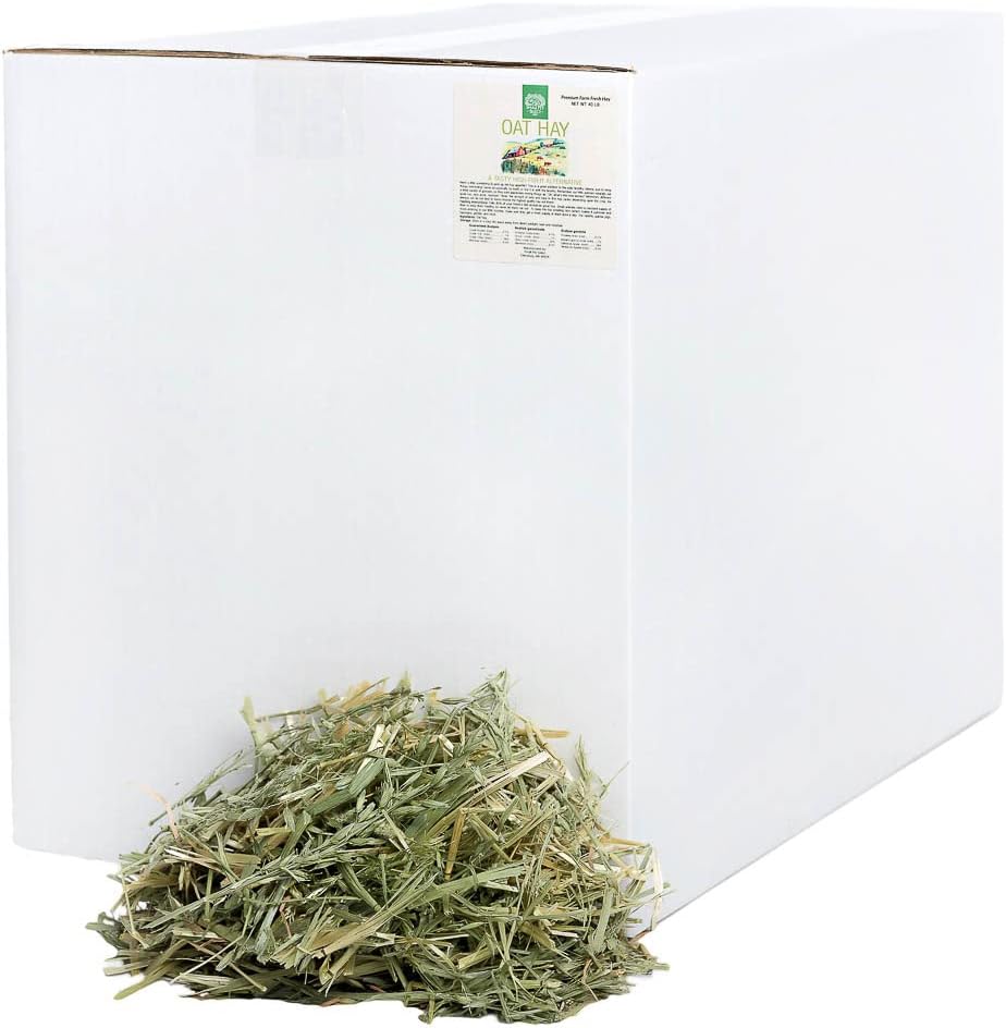 Small Pet Select Oat Hay Delightful Treat for Nigeria Ubuy