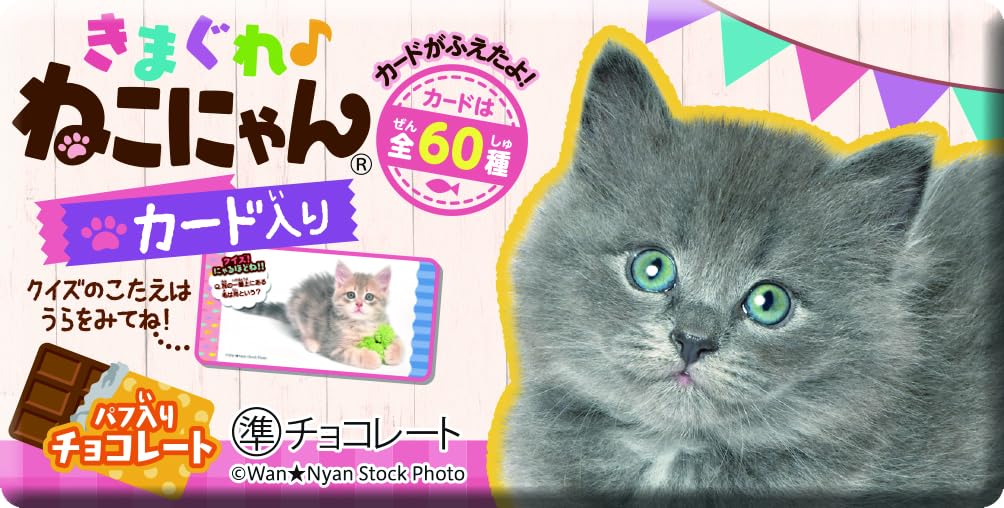 Amazon.co.jp: 正栄デリシィ きまぐれねこにゃん 1枚 ×20個 : 食品