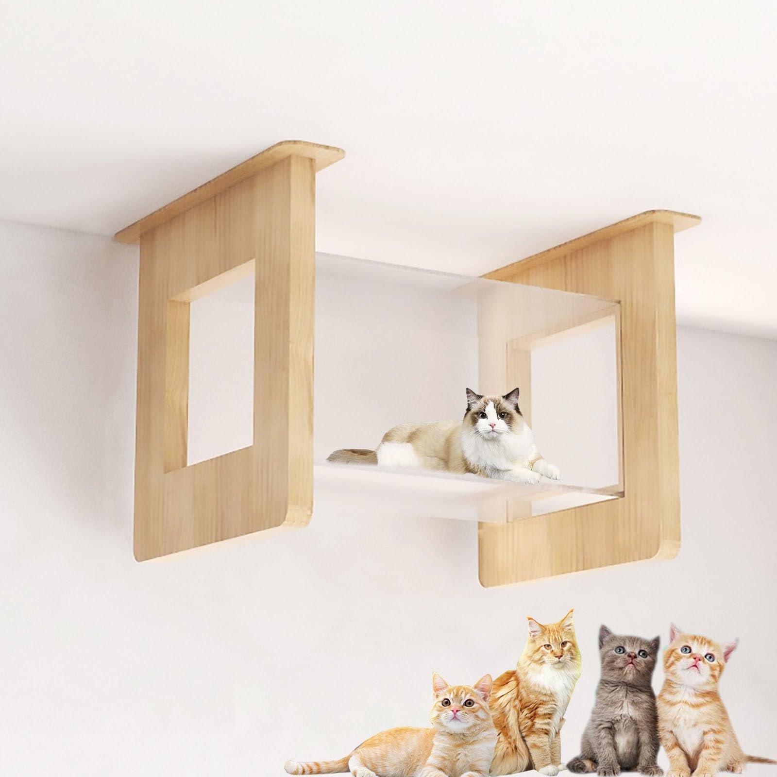 Amazon | キャットウォーク、壁掛け式猫用ステップ、屋内猫用ウォール