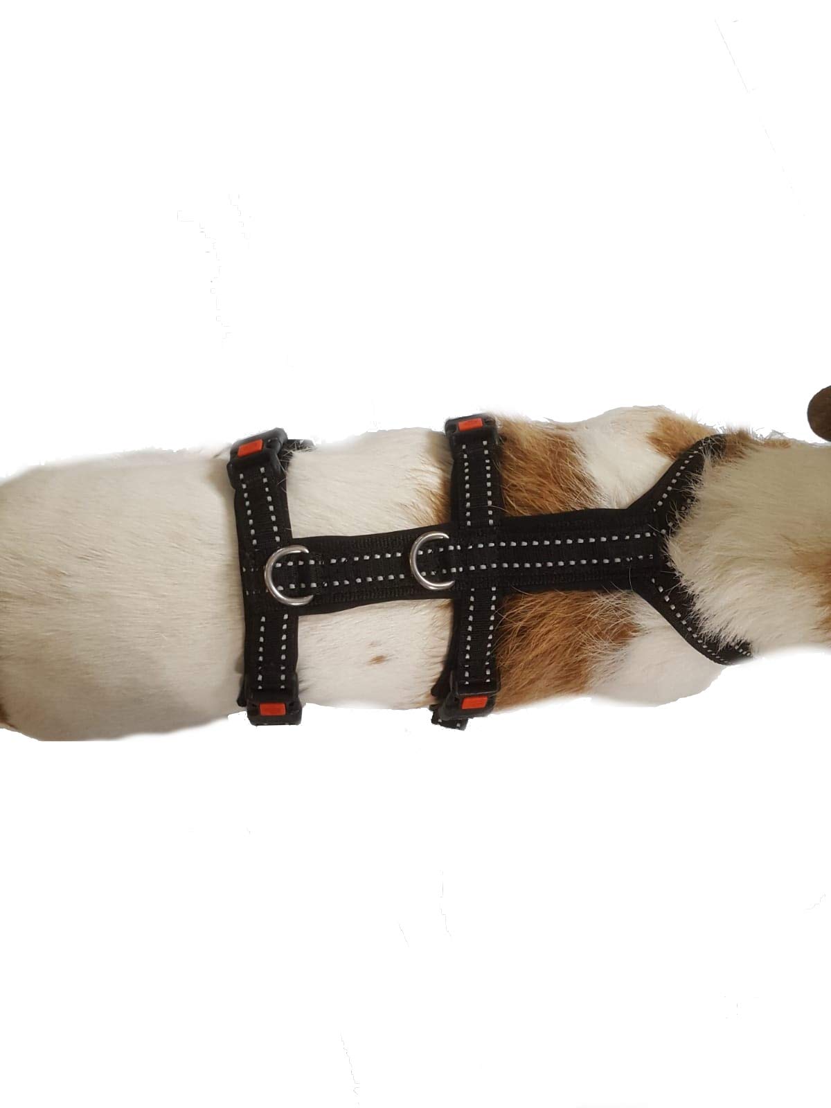 Sicherheitsgeschirr Alcatraz mit Neopren GEPOLSTERT + REFLEKTIEREND verstellbar für kleine und große Hunde Mini - L 6 Größen (M)