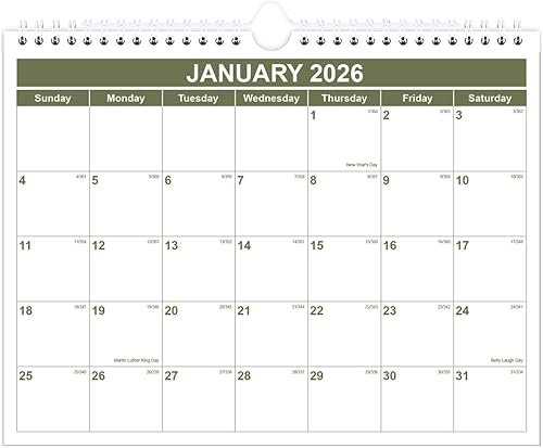 Miniatura 15 de Calendario 2026 - Calendario de pared de 12 meses desde enero de 2026 hasta diciembre de 2026, calendario de pared colgante y planificador 2026 con