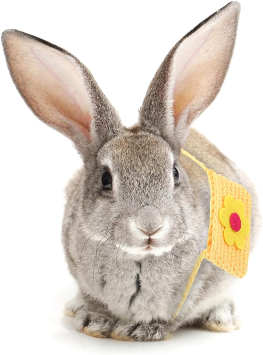 YARNOW Rabbit Bag Decor PET Costume Bag for Halloween Season Yellow image 5