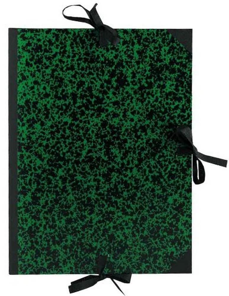 Exacompta 533600E Cartelle Porta Disegni e Valigette, 80x120 cm, Verde