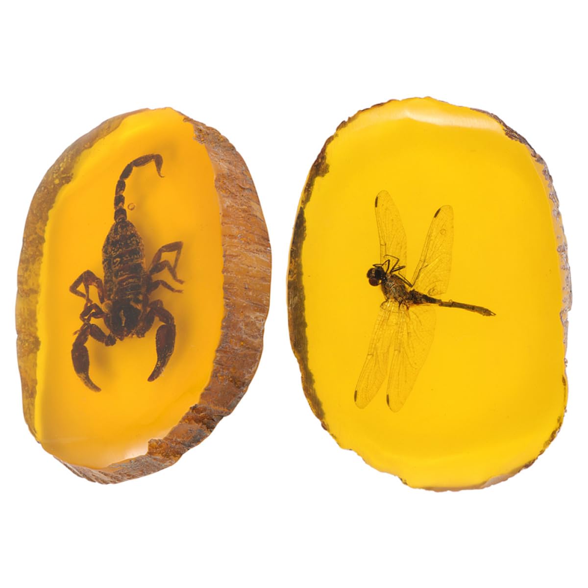 Pendentifs ambre résine jaune légers et pré-percés pour bijoux élégants - 8