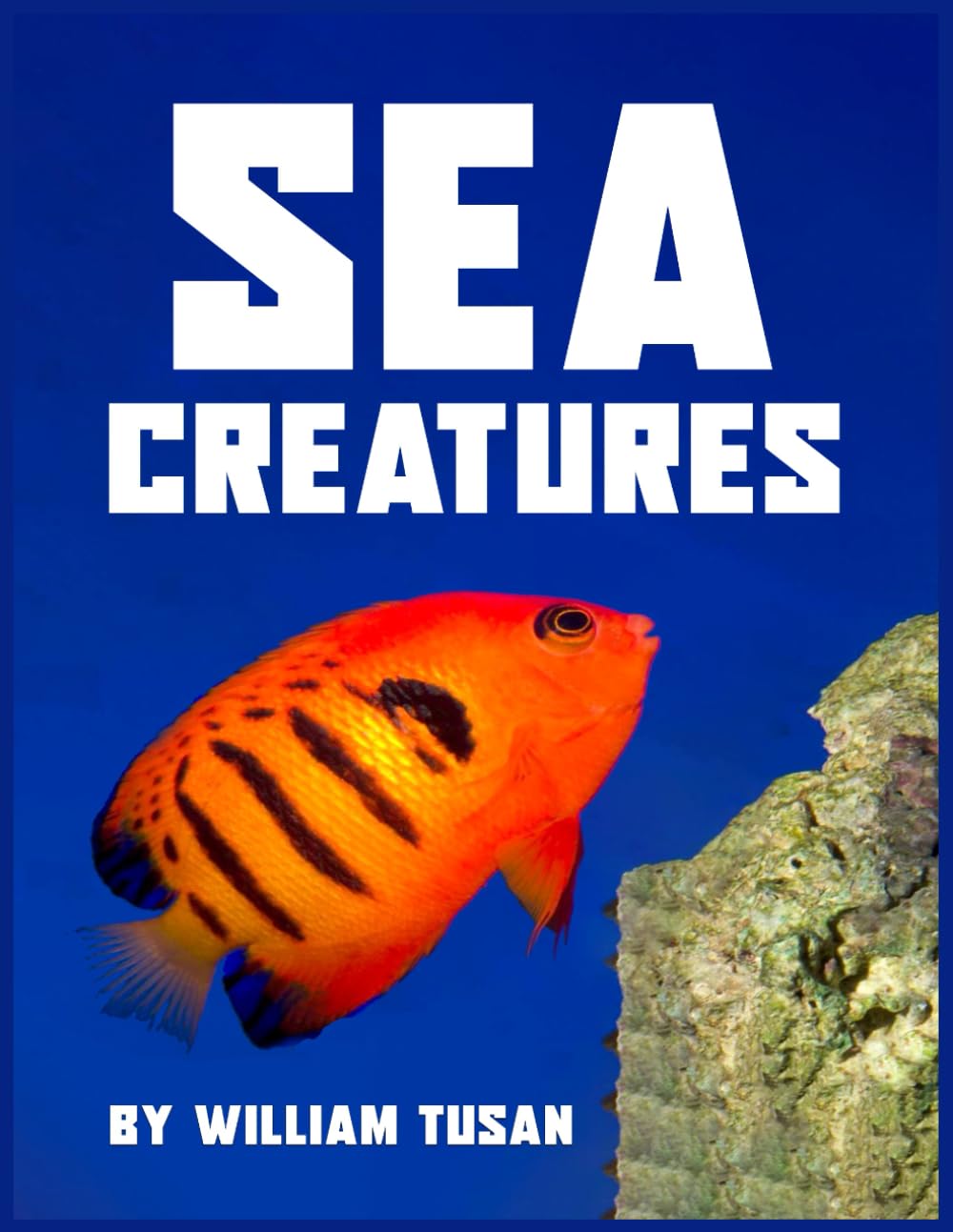 SEA CREATURES
