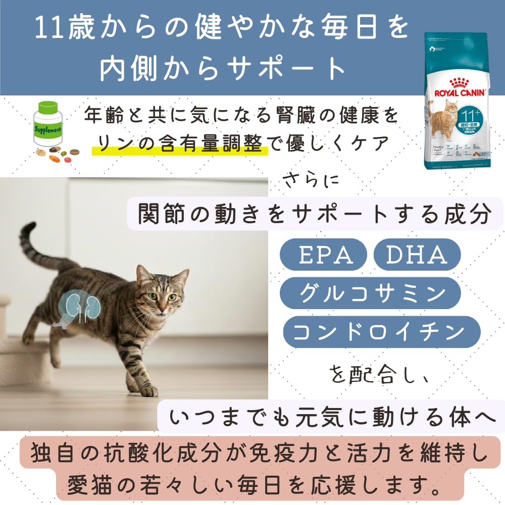 Amazon | 【 4kg 1個 】ロイヤルカナン エイジング ステアライズド 11+