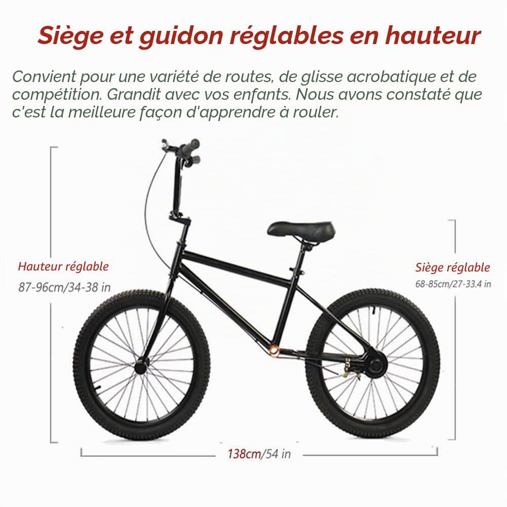 Draisienne sans pédale pour Adultes et débutants, vélo d'entraînement réglable avec Frein à Main et Roues de 20 Pouces, Charge maximale 100 kg