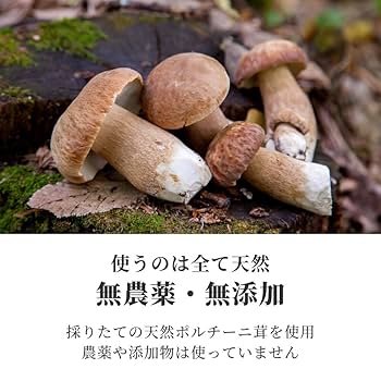 【天然・生鮮】 ポルチーニ茸 1kg 中国・雲南ヒマラヤ産 ③ 天然・生鮮】 ポルチーニ茸 1kg 中国・雲南ヒマラヤ産 ②