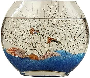 Amazon | 金魚鉢 扁形 平面ガラス アクアリウム アイデア平べったい口 Amazon | 金魚鉢 扁形 平面ガラス アクアリウム アイデア平べったい口