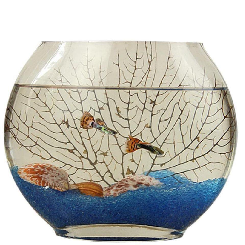 ITALY 変形ガラス フラワーベース 金魚鉢 インテリア ガラス Amazon | 金魚鉢 扁形 平面ガラス アクアリウム アイデア平べったい口