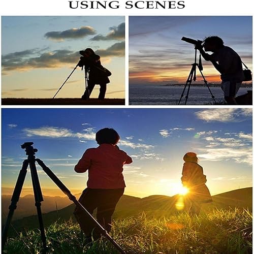 Miniatura 9 de Trípode para cámara de video, 41 pulgadas, flexible, portátil, de aluminio, 4 secciones, patas telescópicas, trípode para fotografía, soporte para